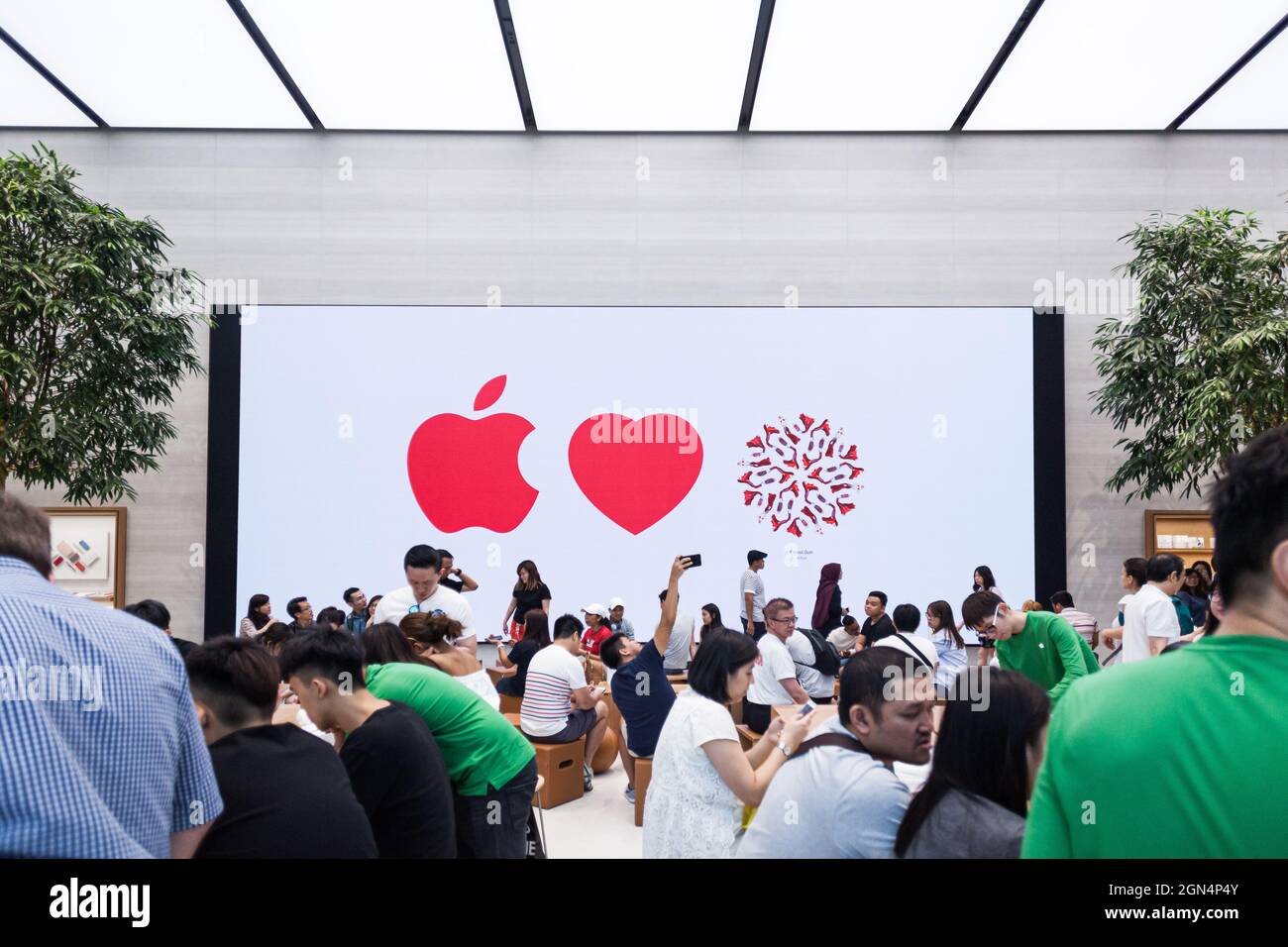 SINGAPORE - MAY 28, 2017: People busy with their gadgets in the new Apple Store in Singapore at Orchard Road on May 28, 2017 Stock Photo