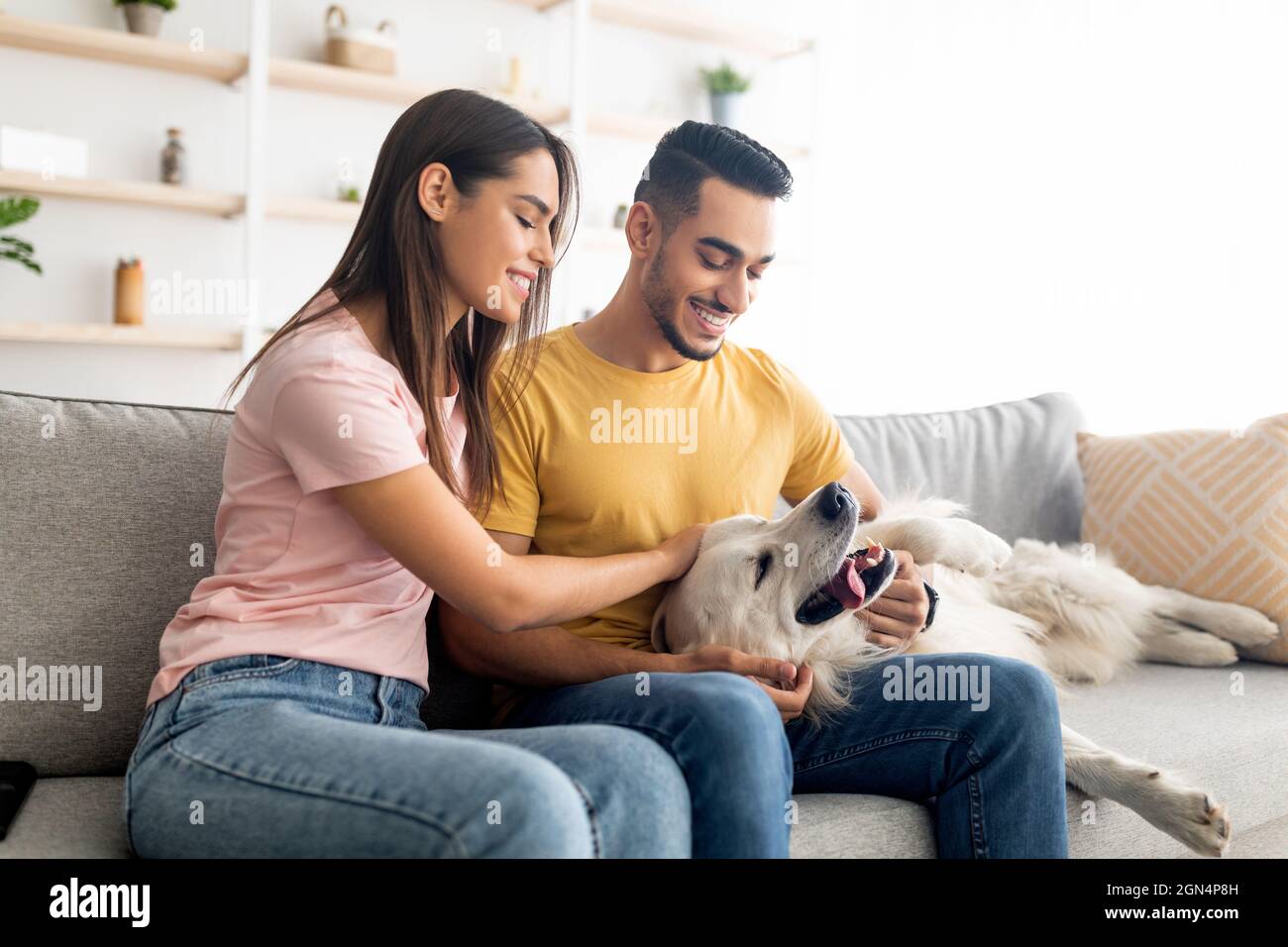 Why Do Dogs Sit On The Couch