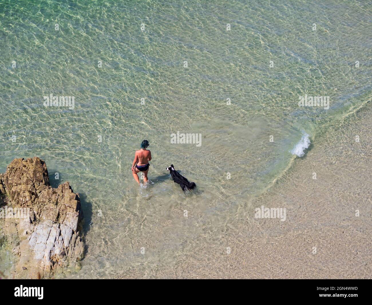 A woman swims in the sea with her dog at a pet beach in the Galician town of Ribadeo. Stock Photo