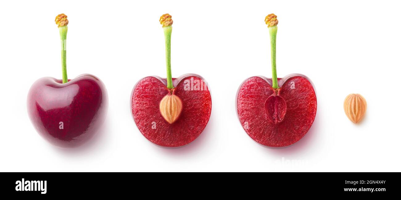 Pitted stone Cut Out Stock Images & Pictures Alamy