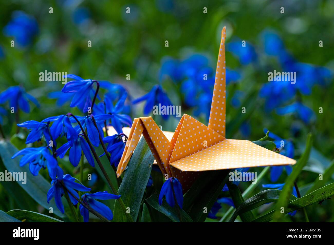 Close-up of a paper origami crane sitting on grass between blossoming early bloomers symbolizing spring time, a fresh start and hope Stock Photo