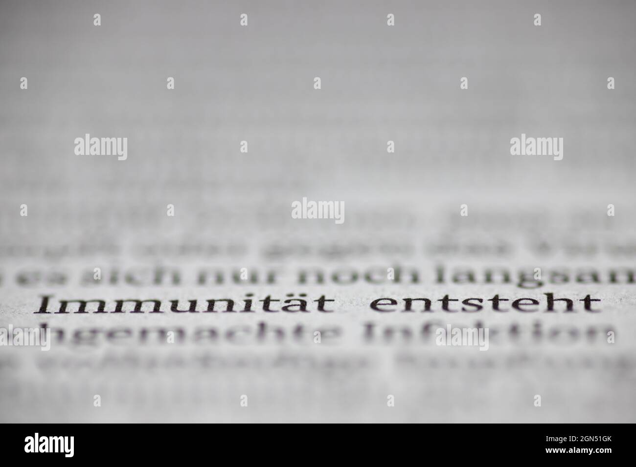 Closeup Of The German Words Immunitat Entsteht Meaning Immunity Develops With Blurry Text In The Background And Foreground Stock Photo Alamy