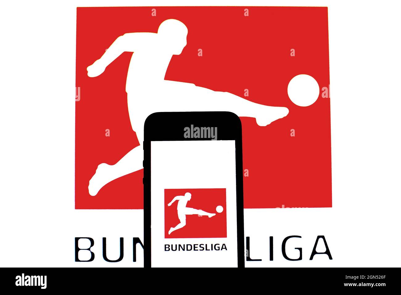DFL Badge offizielles Bundesliga Logo 2.Liga 