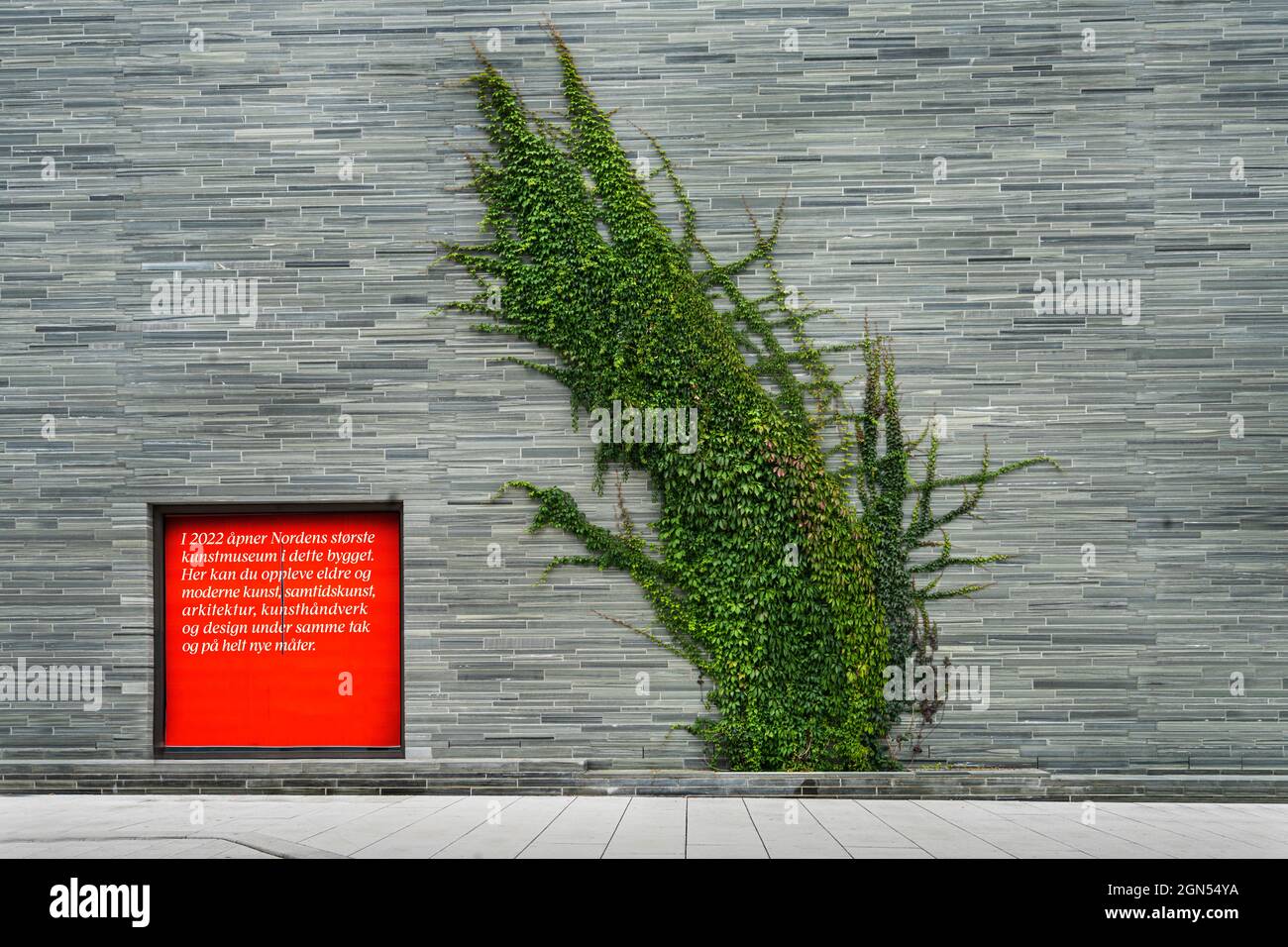 Oslo, Norway. September 2021. the climbing ivy on the outer wall of the Nasjonalmuseet in the city center Stock Photo