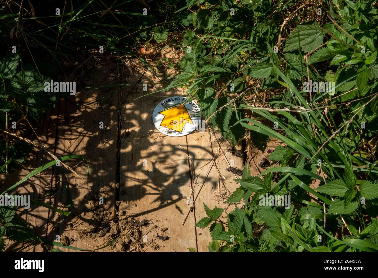 Public footpath sign on a roundel with yellow arrow on a white background mounted on the planks of a small ditch bridge. Stock Photo