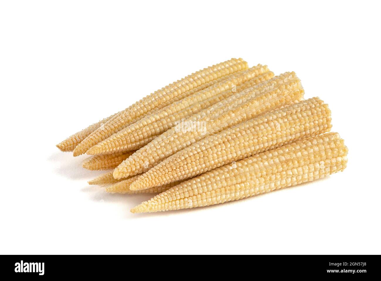 Corn on a white background. Baby corn isolated on white homogeneous background, clipping path, full depth of field. Stock Photo