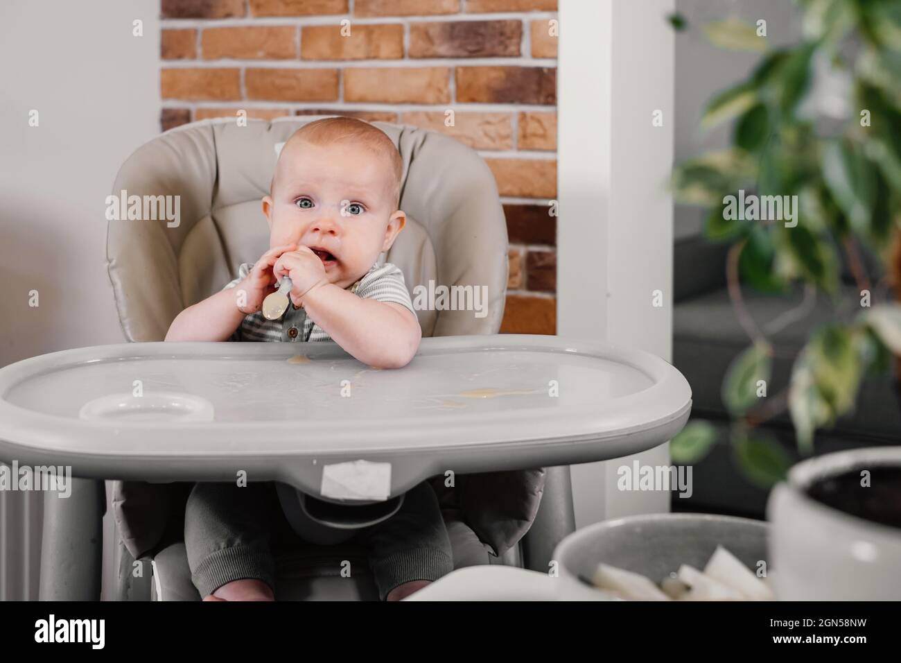 Mother giving food to baby boy, pure from spoon in highchair at home. Complementary infant feeding. Happy kid waiting for meal, learning to eat purred Stock Photo