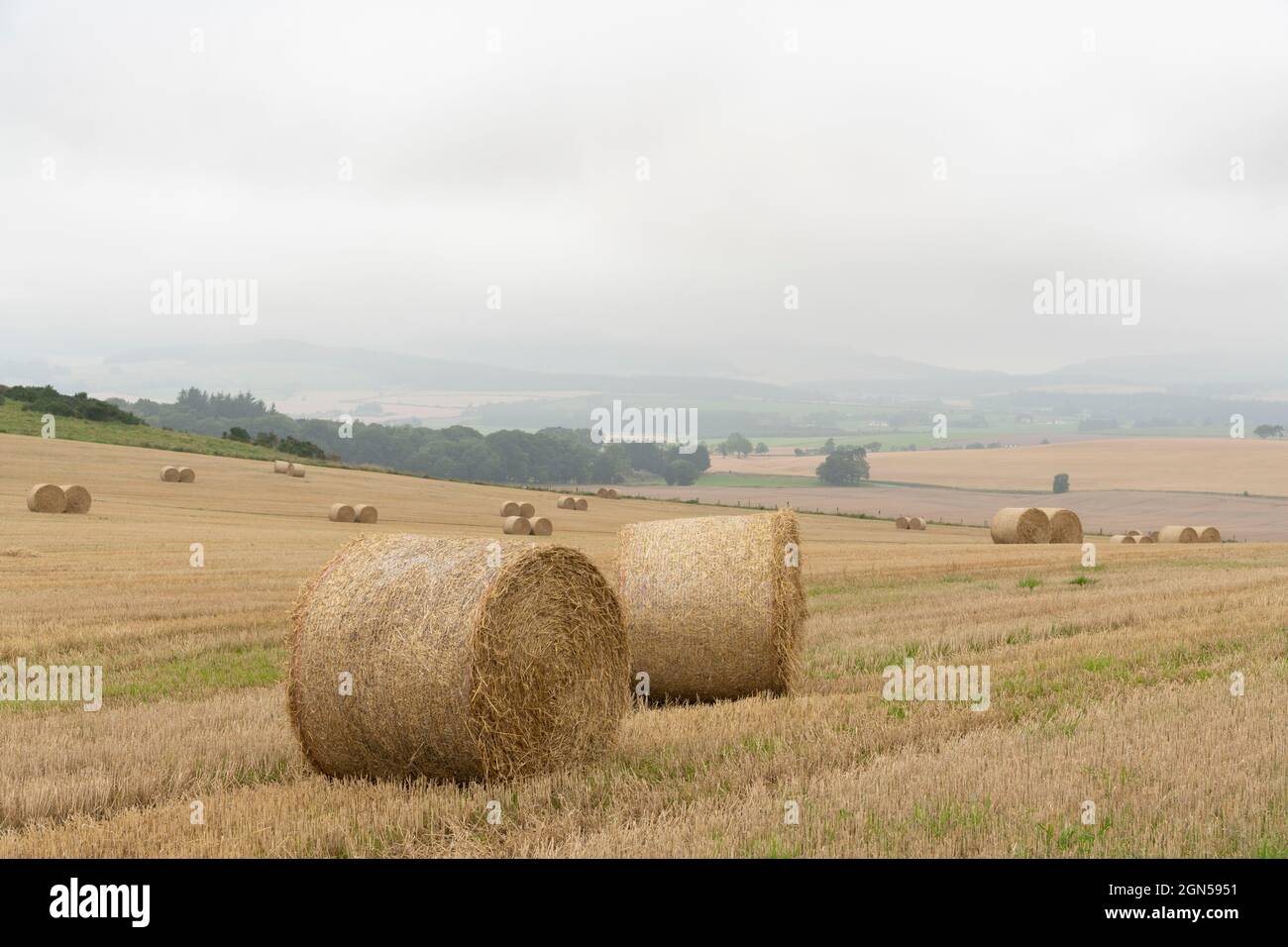 Pairs of Round Straw Bales on an Aberdeenshire Hillside in Autumn, with Mist and Low Cloud Hiding Much of the Surrounding Countryside Stock Photo