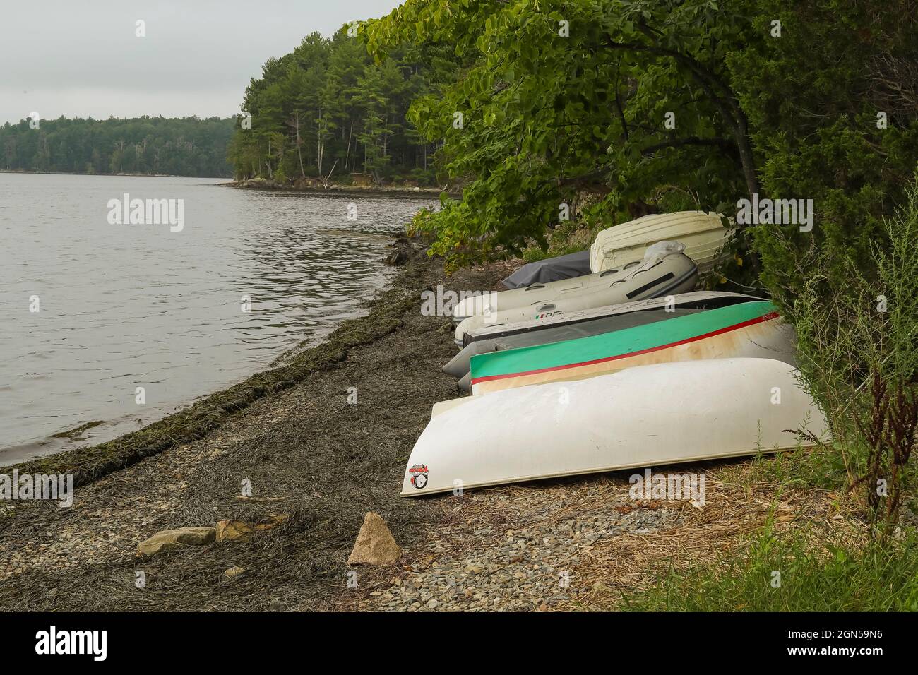 Great Bay is a tidal estuary located in south eastern NH in the