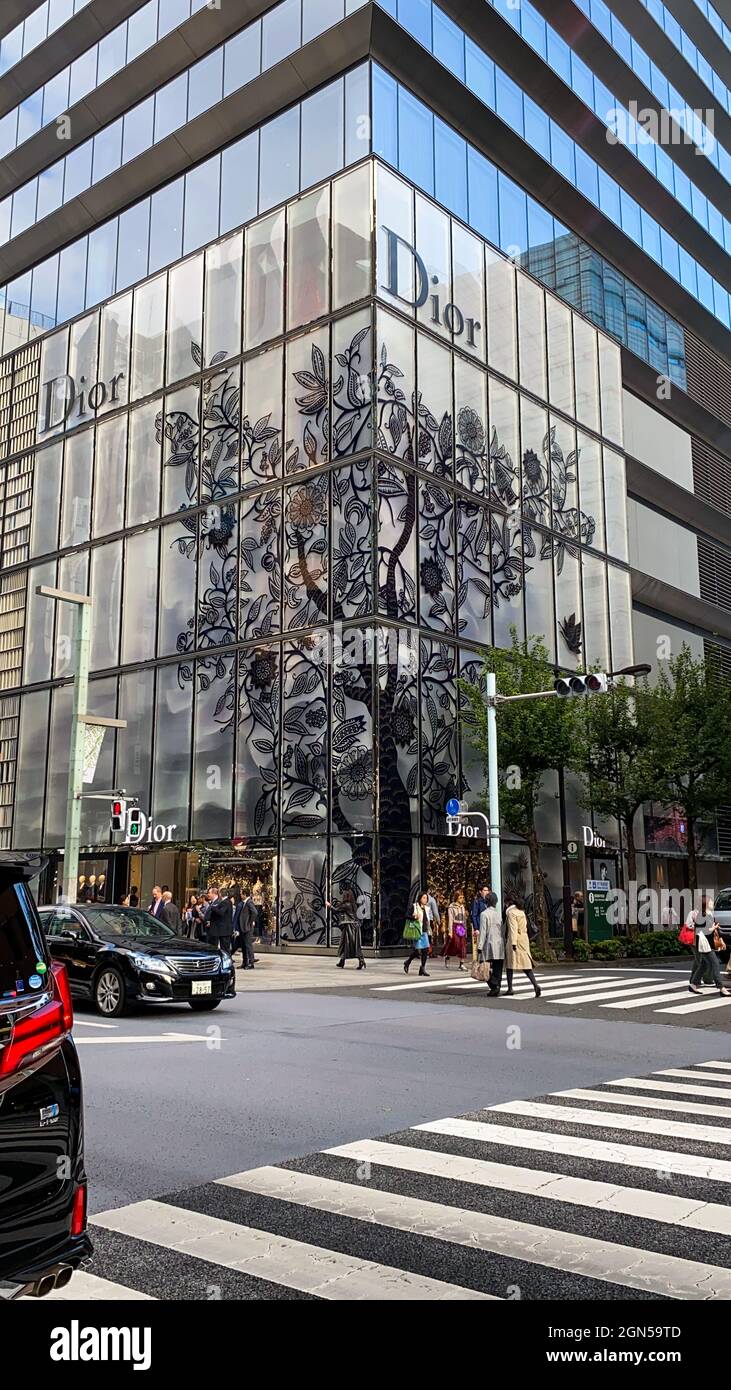 Ginza dior top