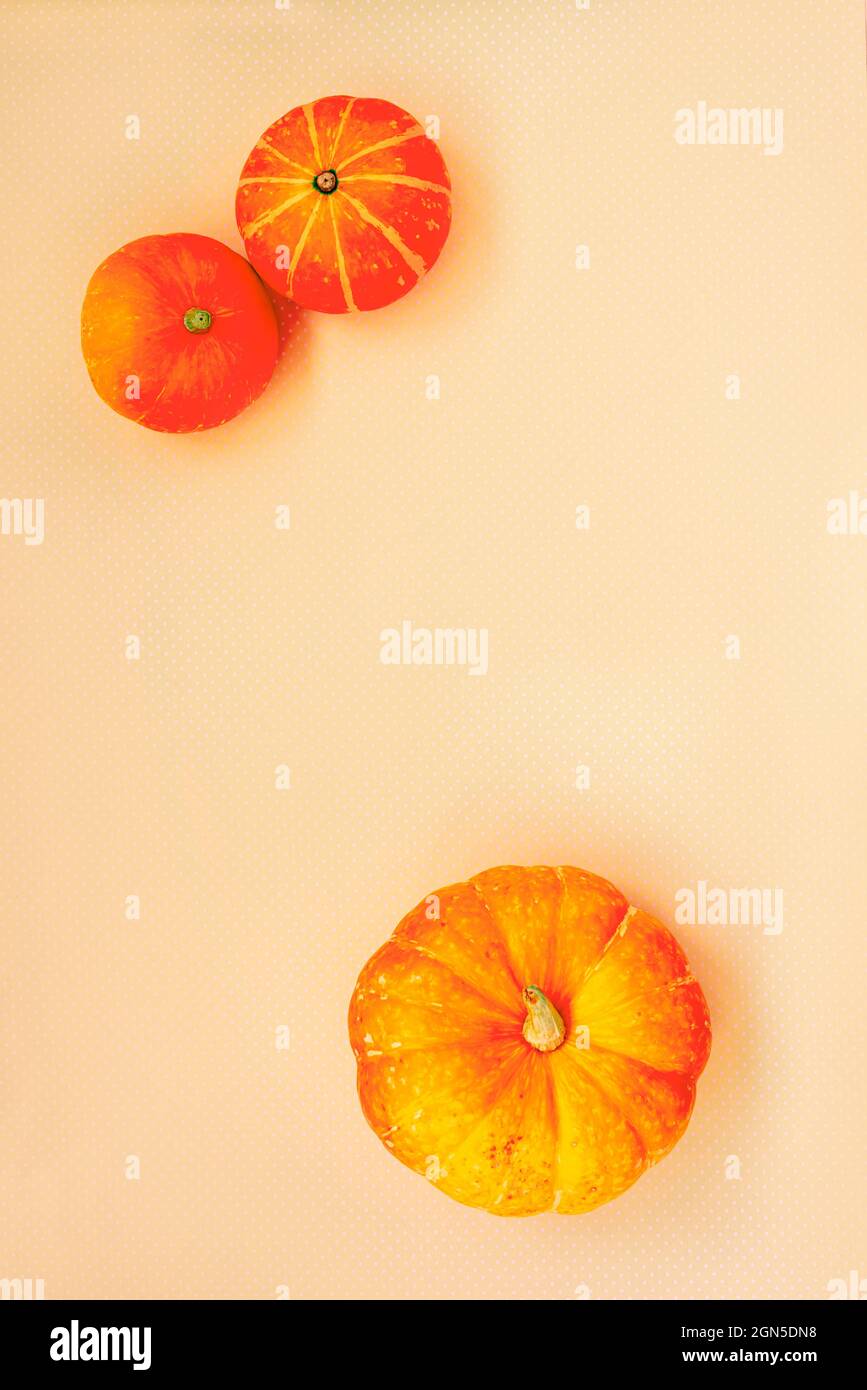 Orange pumpkins with copy space on pastel Stock Photo - Alamy