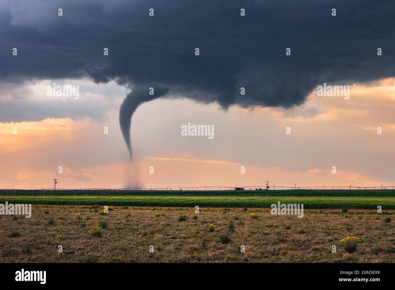 Supercell tornado dramatic wall cloud kicks up dust in a field during a storm near Sudan, Texas, USA Stock Photo