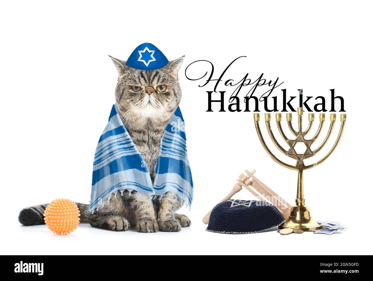 Greeting card for Happy Hannukah with funny Jewish cat Stock Photo - Alamy Greeting card for Happy Hannukah with funny Jewish cat Stock Photo - Alamy