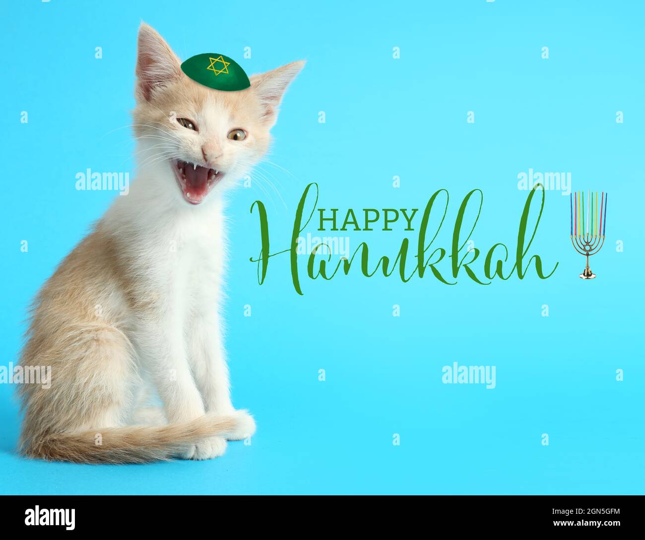 Greeting card for Happy Hannukah with funny Jewish cat Stock Photo - Alamy