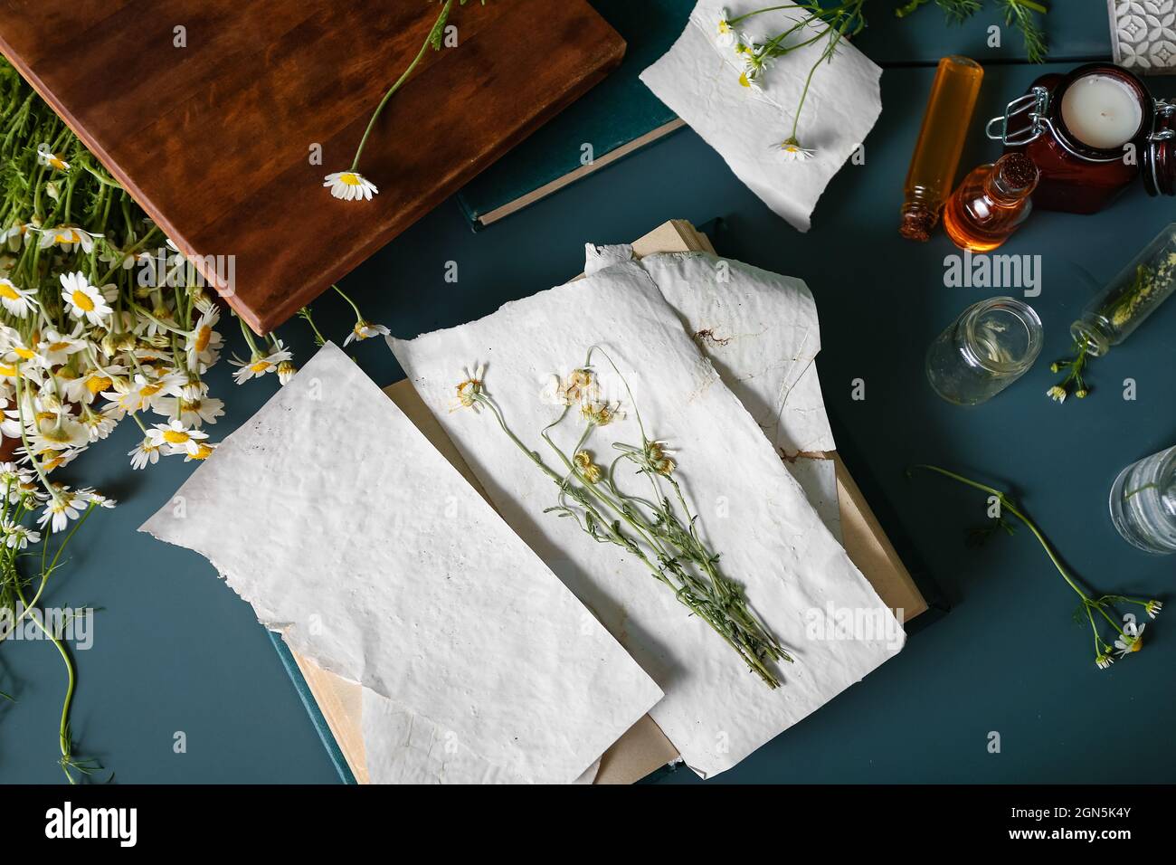 Book with dried chamomiles on table Stock Photo