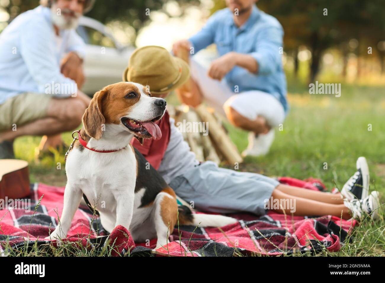 Happy family with cute dog at picnic outdoors Stock Photo - Alamy