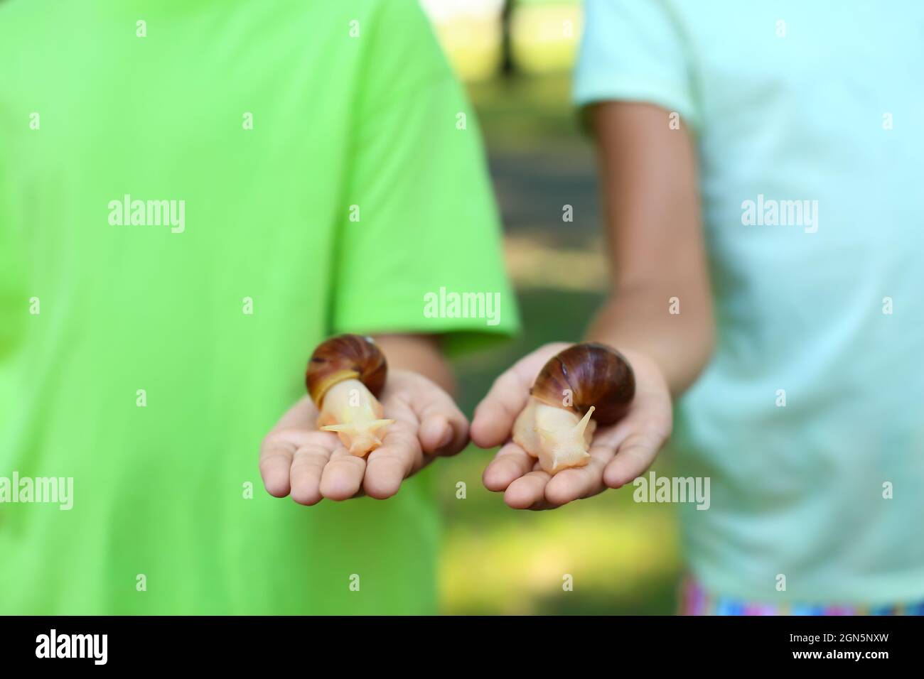 Cute little children with snails outdoors, closeup Stock Photo