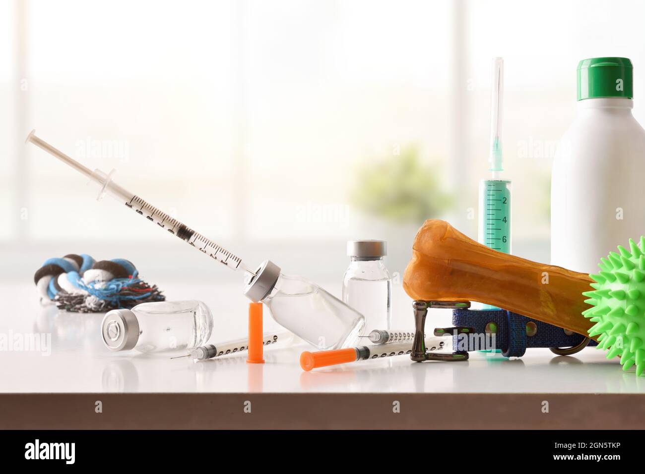 Background with tools for canine vaccination with dog accessories and window background. Front view. Horizontal composition. Stock Photo