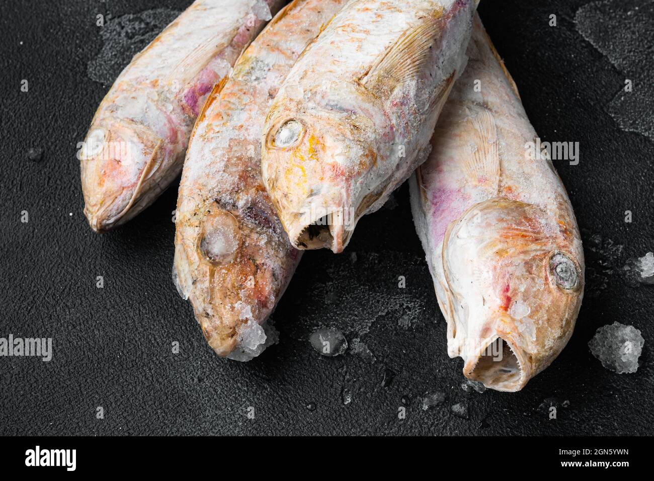 Frozen Goatfish raw fish set, on black dark stone table background ...