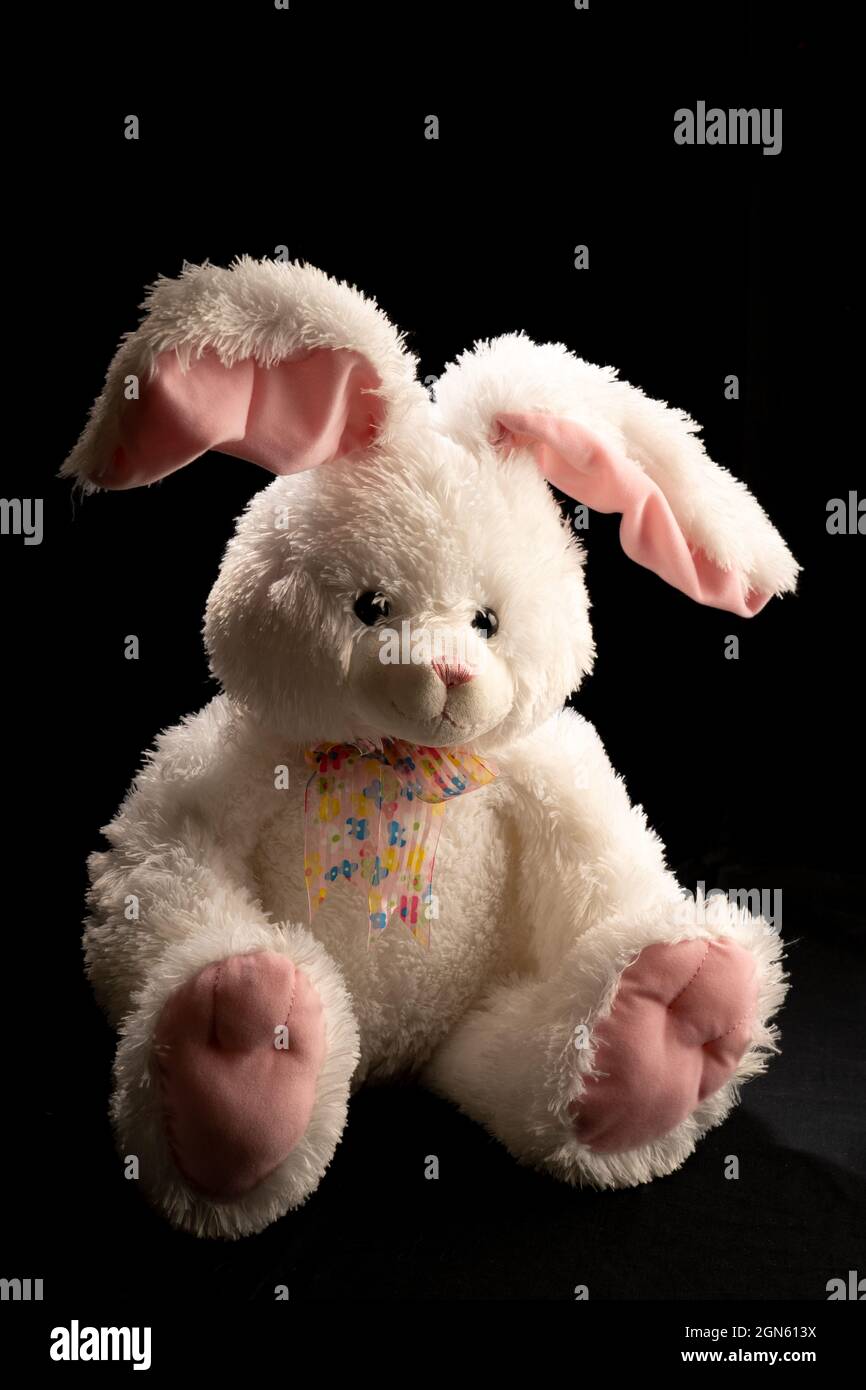 Lopsided ears hi-res stock photography and images - Alamy