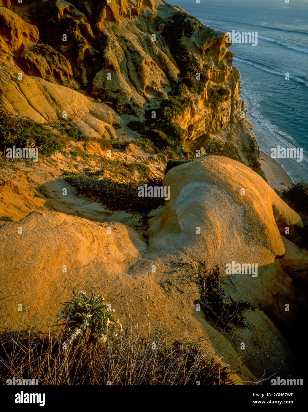 Torrey Pines State Beach and State Reserve, La Jolla, San Diego County, California Stock Photo