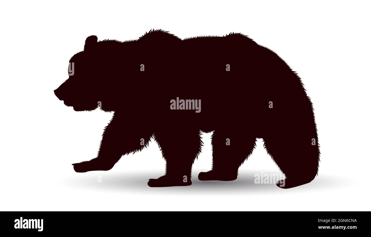 Silhouette of a large adult bear on a white background. Stock Vector