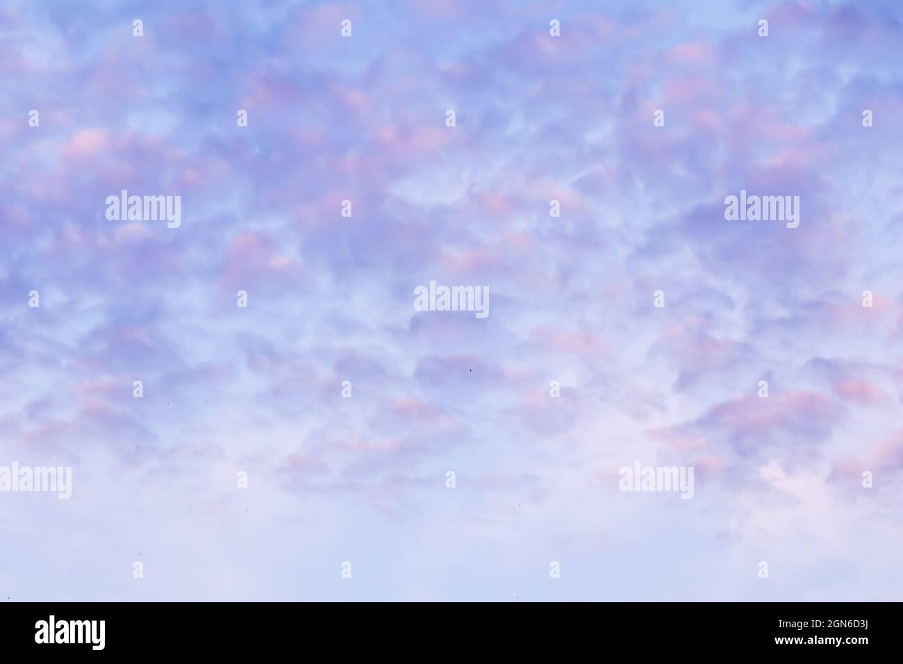 Background of blue sky with pale pink clouds in sunset Stock Photo - Alamy