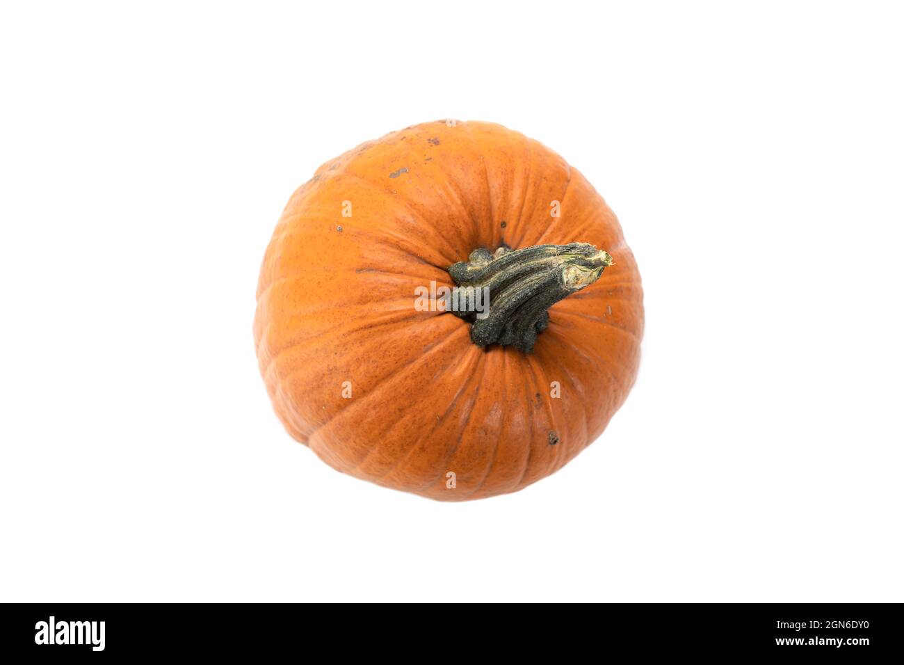 Fresh orange pumpkin isolated on white background, top view Stock Photo