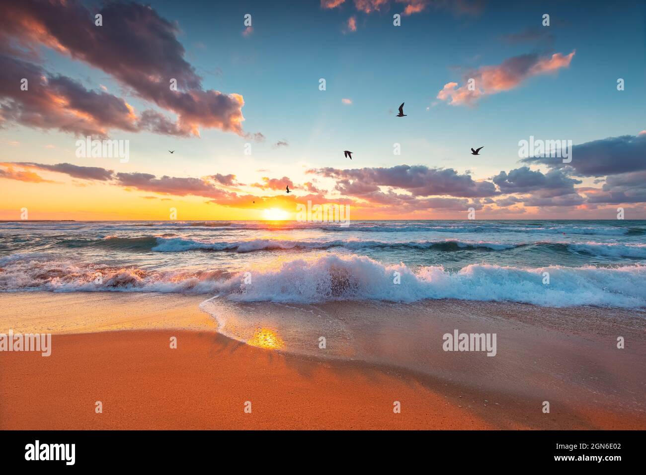Beach sunrise over the tropical sea Stock Photo - Alamy