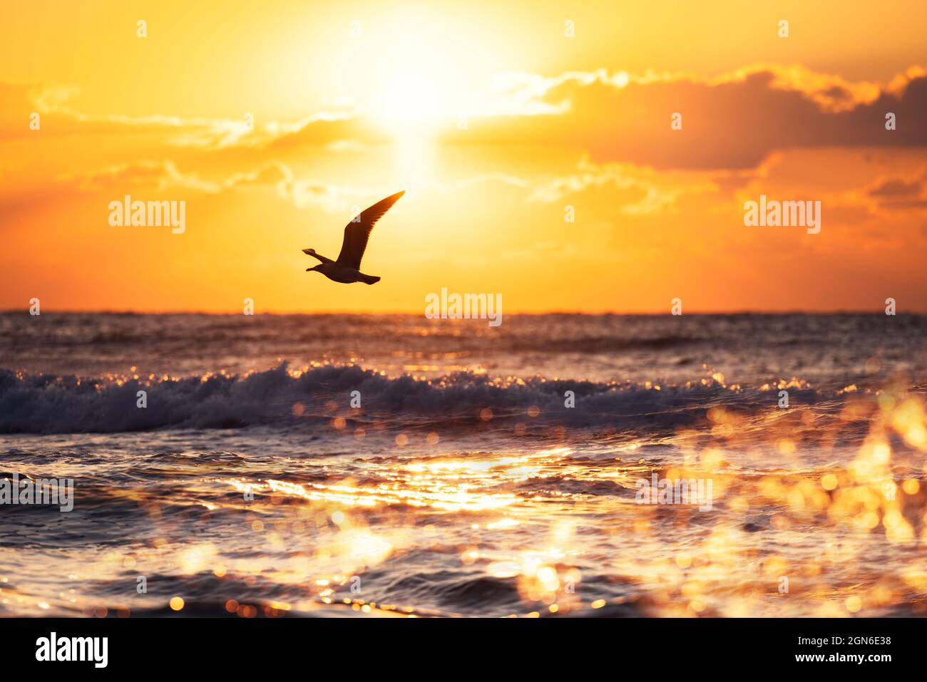 Beautiful sunrise on sea flying hi-res stock photography and images - Alamy