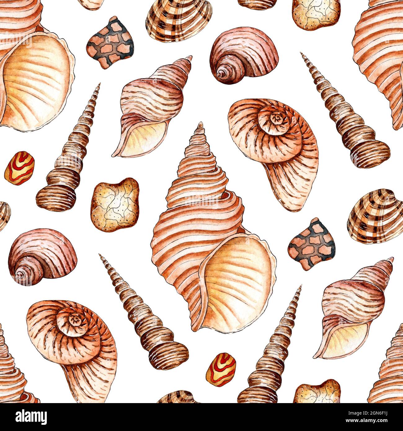 Watercolor illustration of seamless pattern seashells in beige