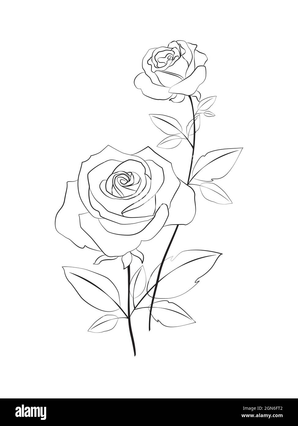 Beautiful rose line art drawing on white background Stock Vector Image & Art  - Alamy