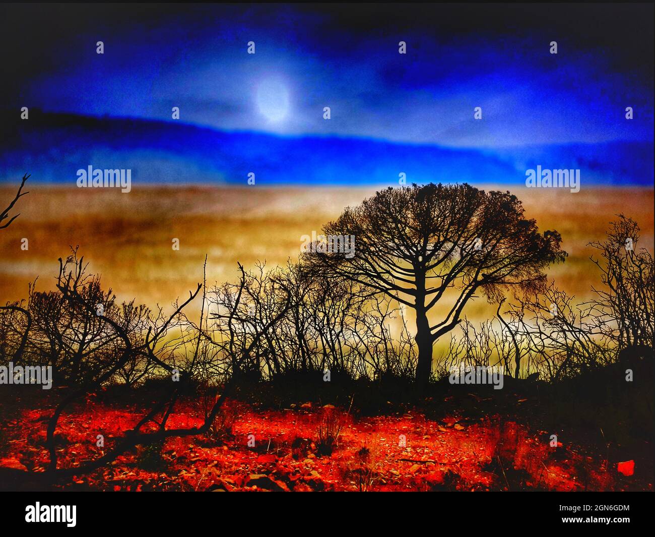 Hill burn hi-res stock photography and images - Alamy