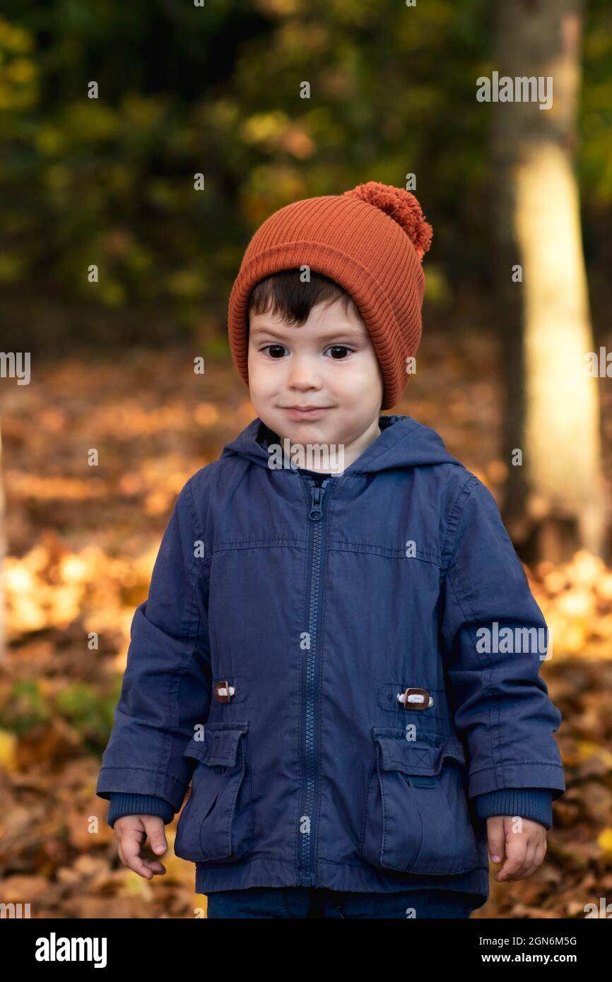 A boy of 3 years in an orange hat and a blue jacket walks in the autumn forest and looks down. Stock Photo