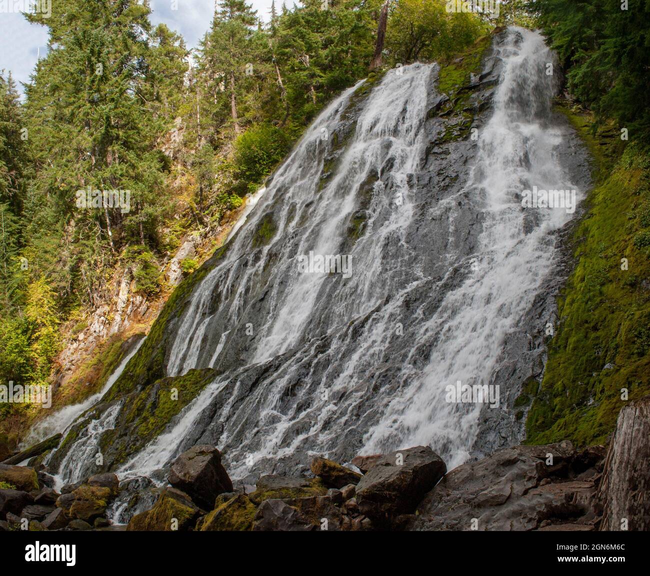 Diamond Creek Falls in Oregon's Willamette National Forest. Stock Photo