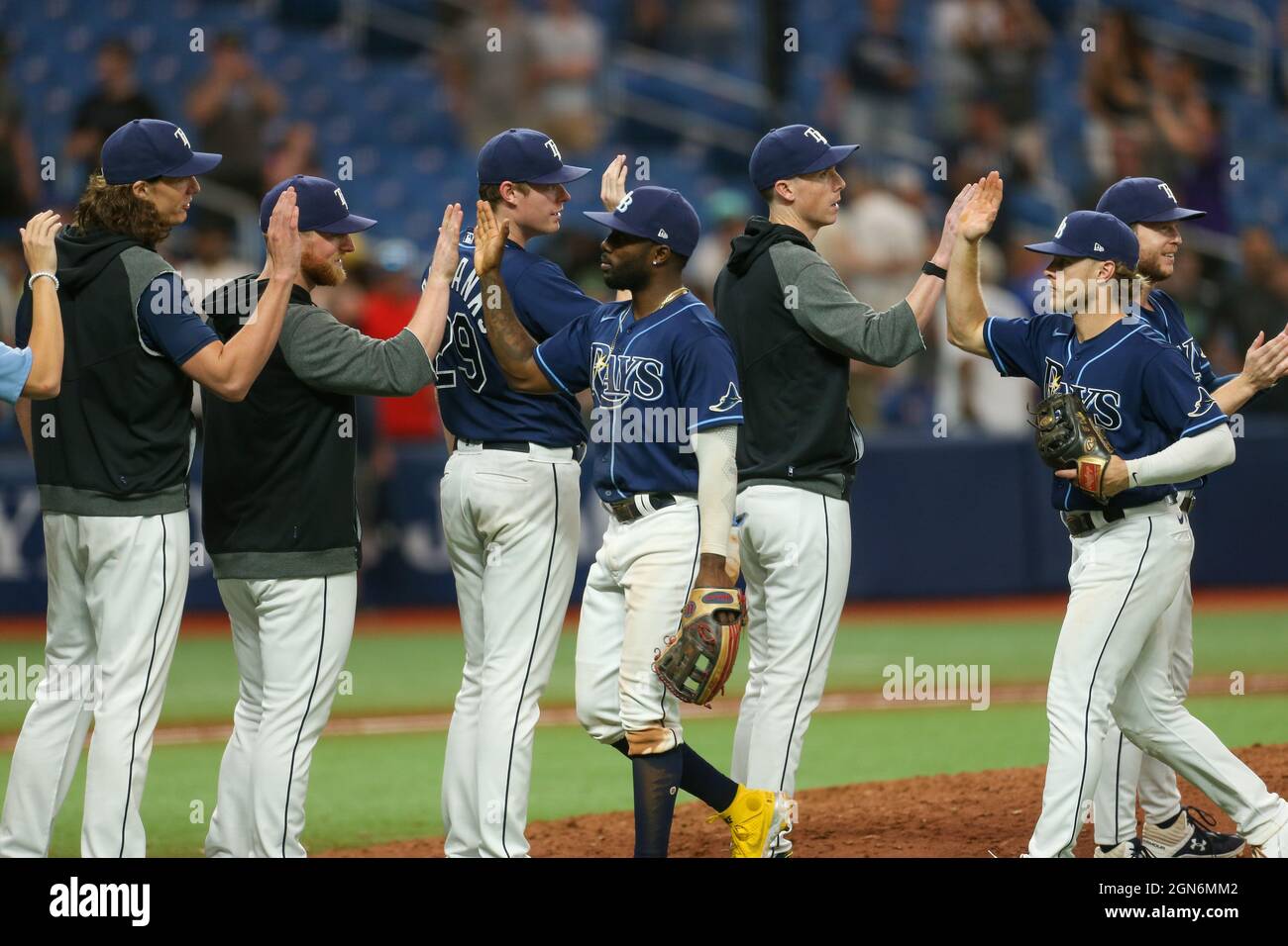 St. Petersburg, FL. USA;  The Tampa Bay Rays line up for the traditional congratulatory high fives after winning and clinching post season play for th Stock Photo
