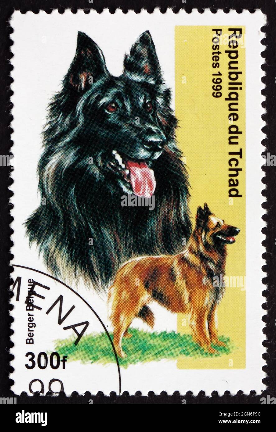 CHAD - CIRCA 1971: a stamp printed in Chad shows Belgian Shepherd, Berger Belge, is Bred of Herding Dog, circa 1971 Stock Photo