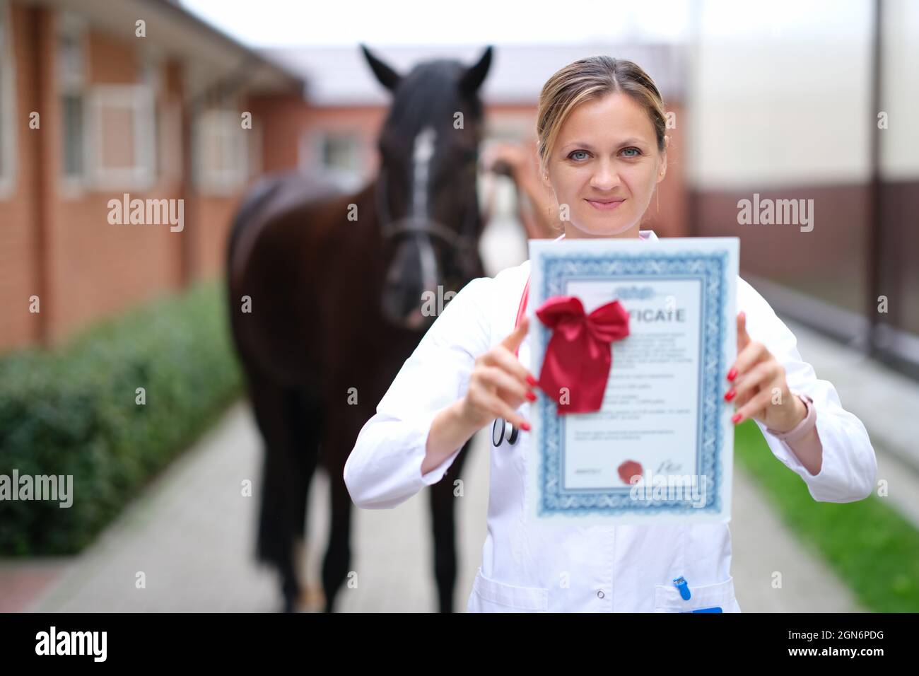 Female veterinarian holds medical certificate for horse Stock Photo Alamy