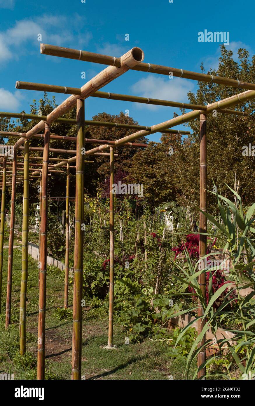 Bamboo pergola hi-res stock photography 