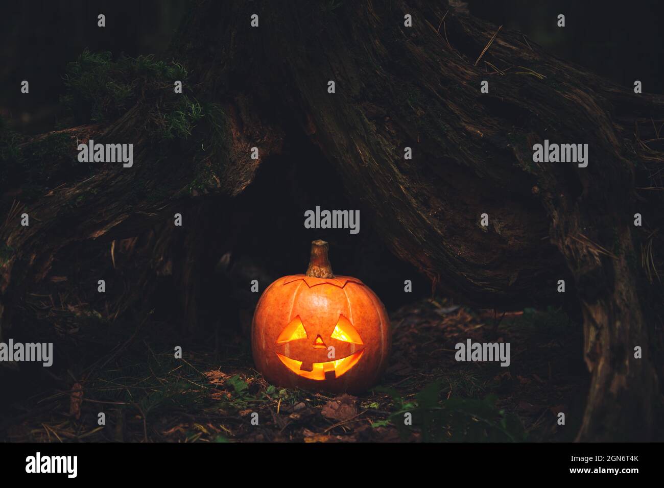 Scary Face Carved In Tree High Resolution Stock Photography and Images ...