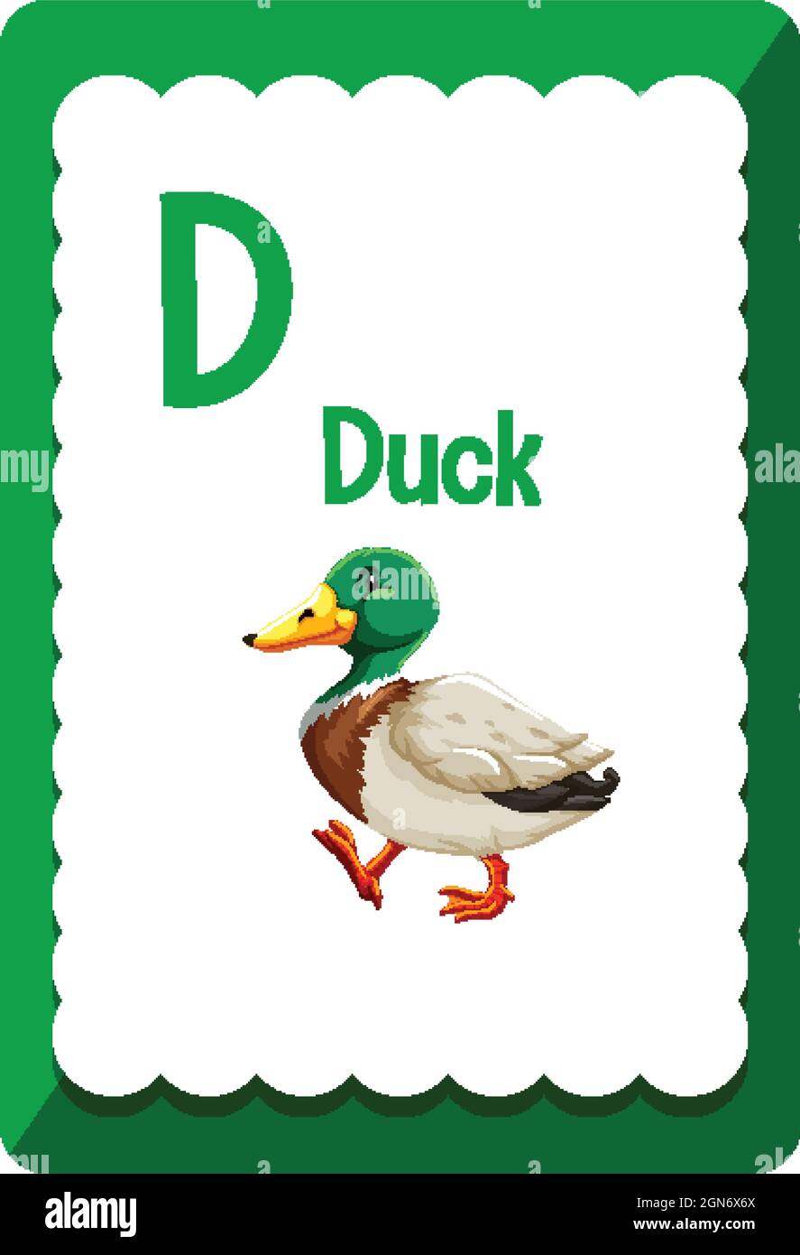 Alphabet flashcard with letter D for Duck illustration Stock ...