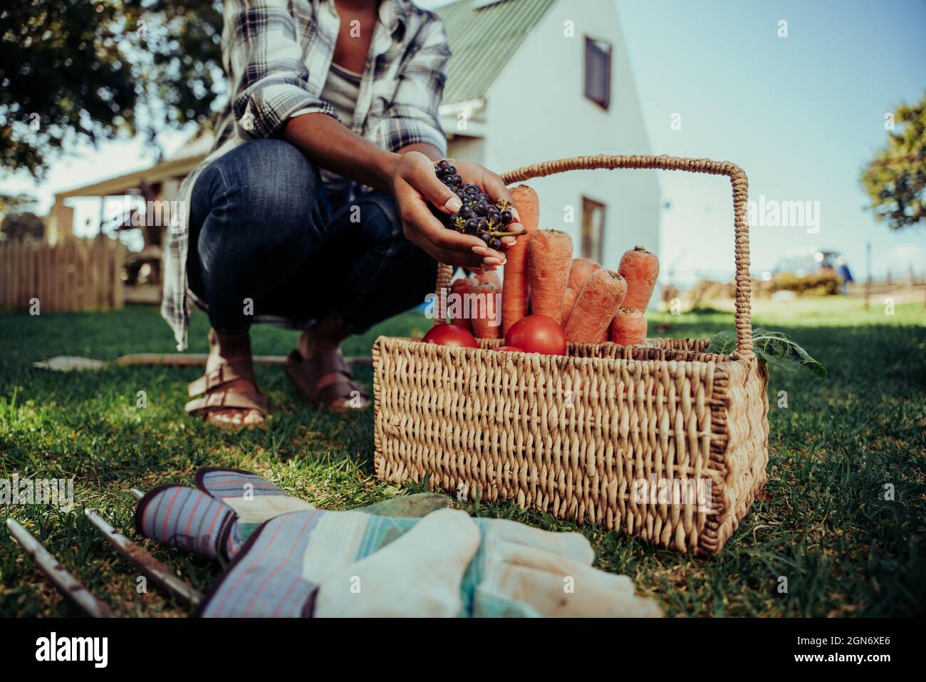 Close up mixed race female holding bunch of fresh grapes crouching down next to basket of fresh vegetables  Stock Photo