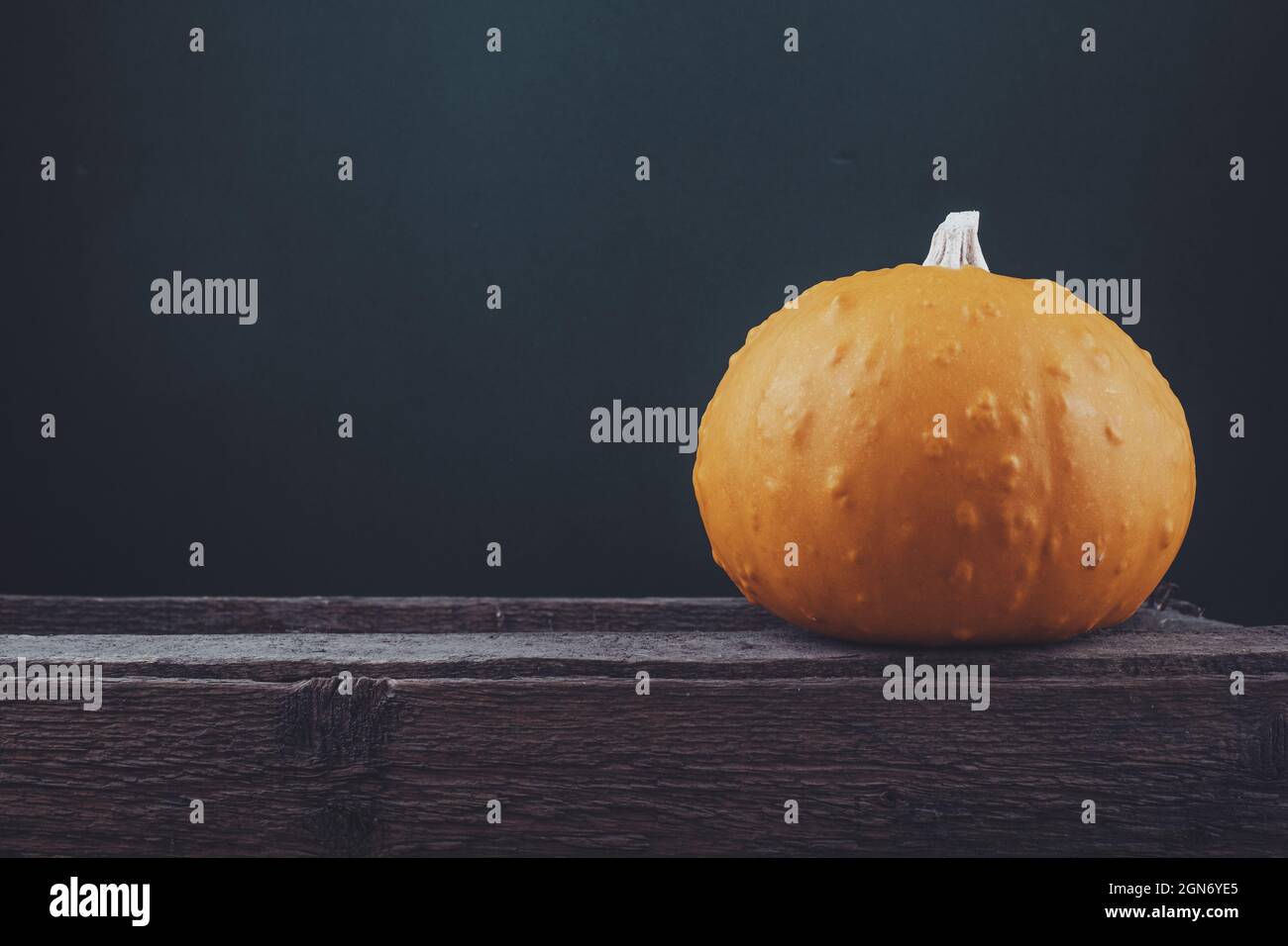 Big pumpkin on a wooden background. space for text. Halloween, rustic Stock Photo