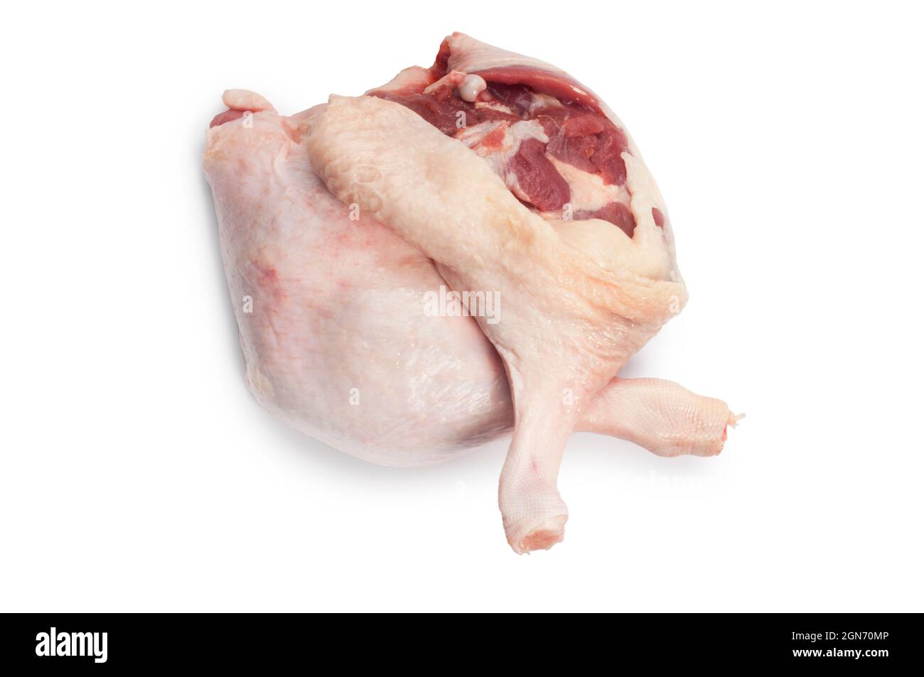 Studio shot of raw duck legs cut out against a white background - John ...