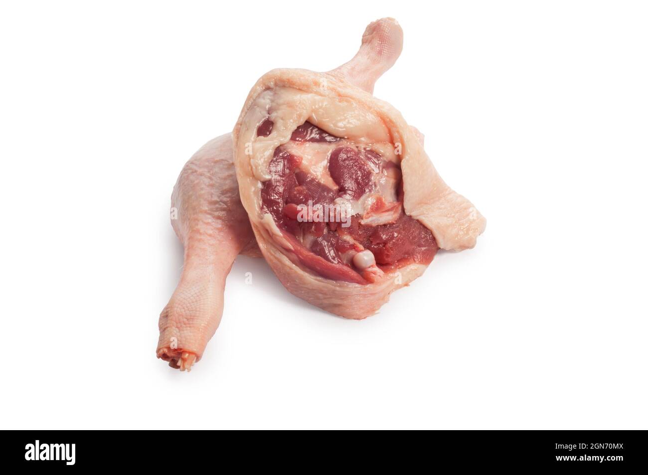 Studio shot of raw duck legs cut out against a white background - John Gollop Stock Photo