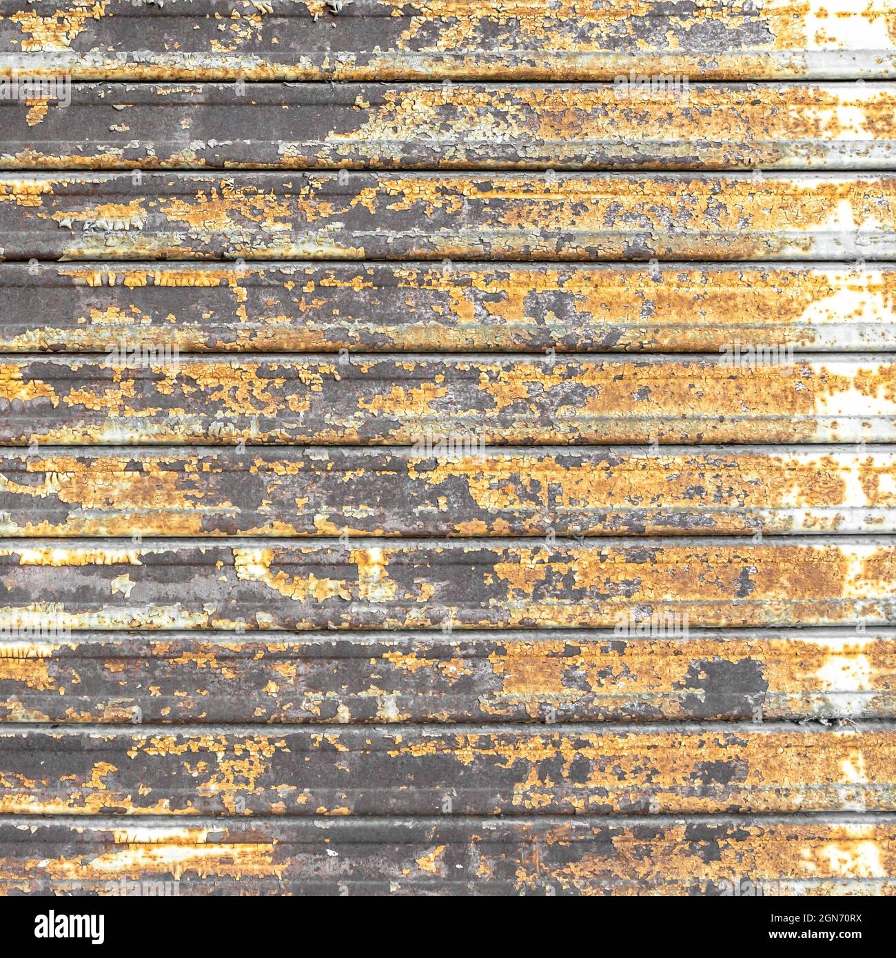 Metal shutter with peeling paint. Front view of a shutter rusted