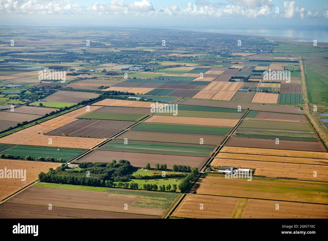 Field patterns in High yield market gardening agricultural land near