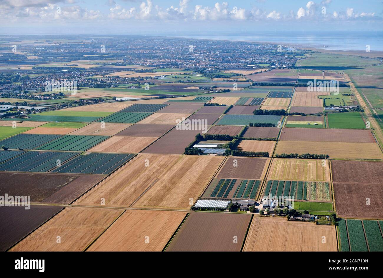 Field patterns in High yield market gardening agricultural land near Hesketh Bank, west Lancashire, North West England, UK Stock Photo