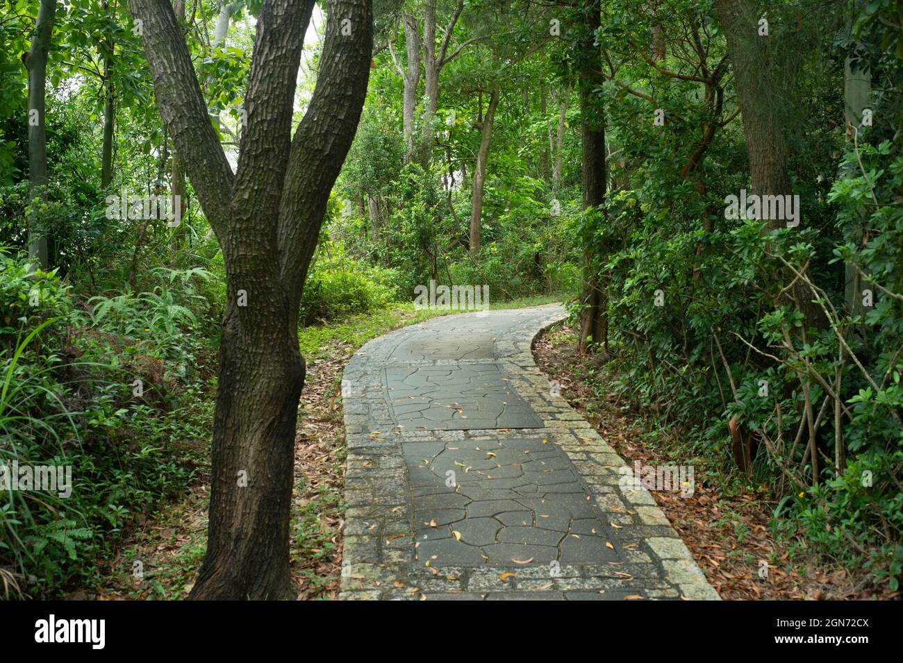 Hong Kong Garden Road Stock Photo