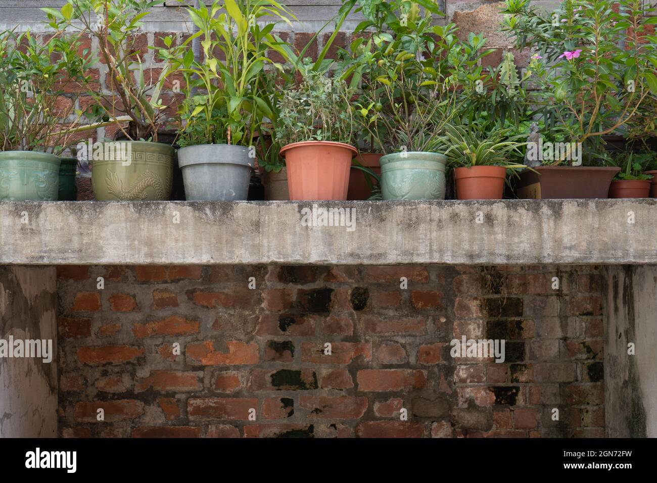 Pot Plants Outdoor Stock Photo Alamy